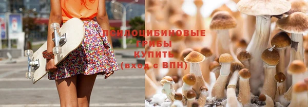 экстази Баксан
