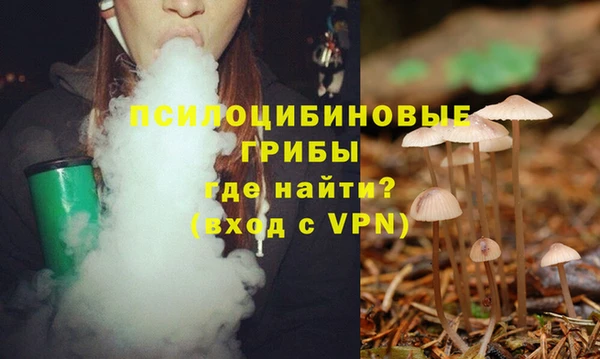 экстази Баксан